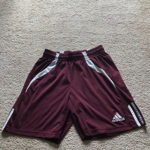 Maroon Adidas Sports Shorts
